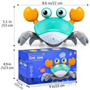 Interactive Crawling Crab Baby Toy - USB Charging, Walking, Dancing, Tummy Time Toys