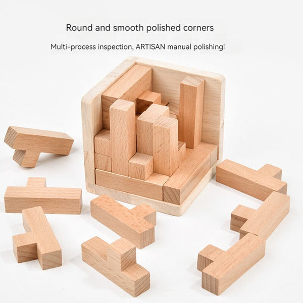 Wooden Brain Teaser Puzzle Toys Educational Toys for Kids and Adults