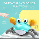 Crawling Crab Sensory Toy