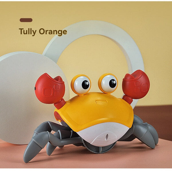 Crawling Crab Sensory Toy